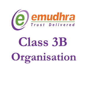 Class 3B – Organization